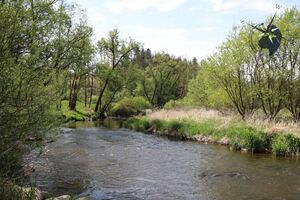 »tut gut«-Wanderweg 3 Raabs/Thaya